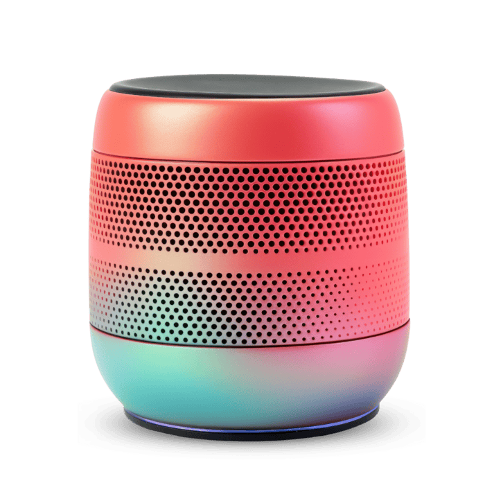 Portable Speaker